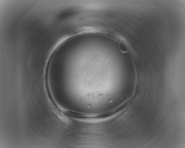 X0000063491427200601201258