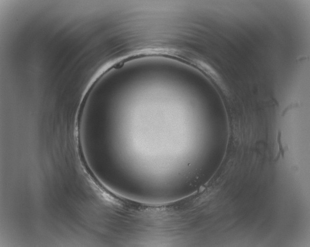 X0000063491428200601201258