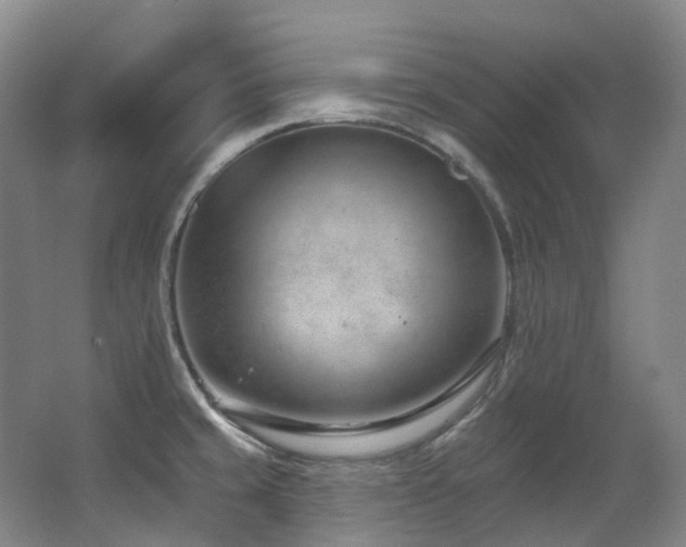 X0000063491429200601201258