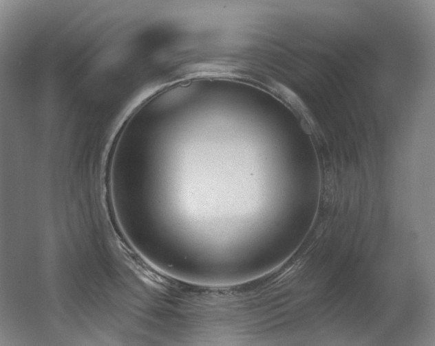 X0000063491435200601201258