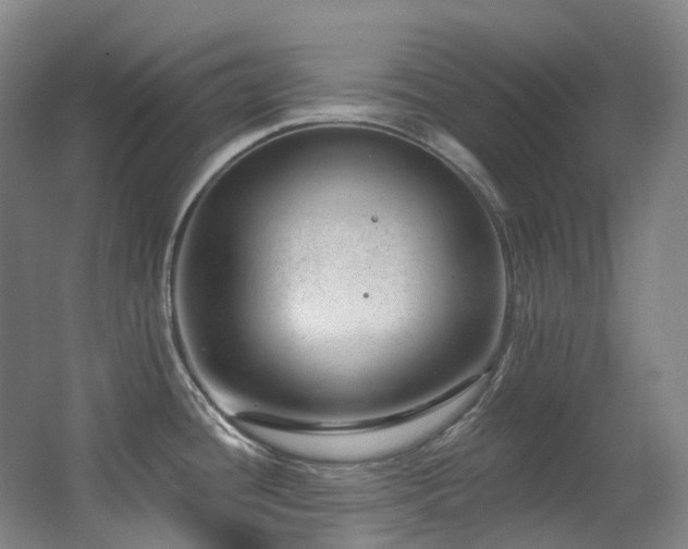 X0000063491436200601201258