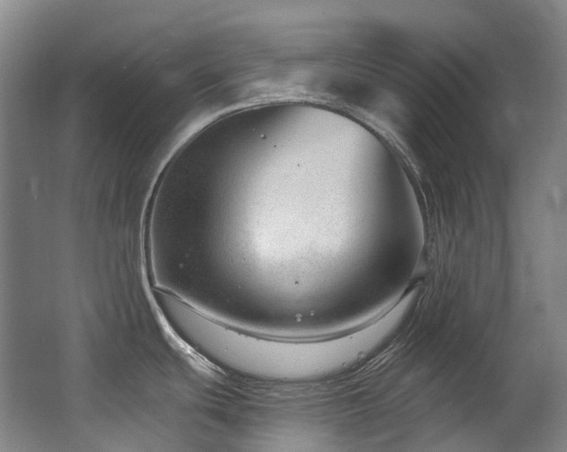 X0000063491439200601201258