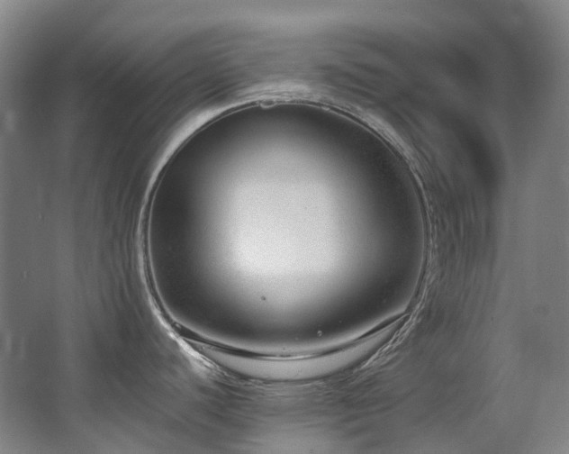 X0000063491440200601201258