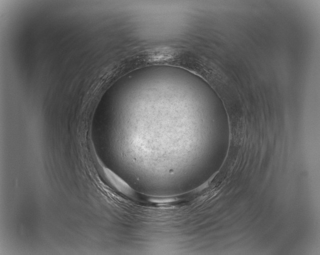 X0000063491441200601201257