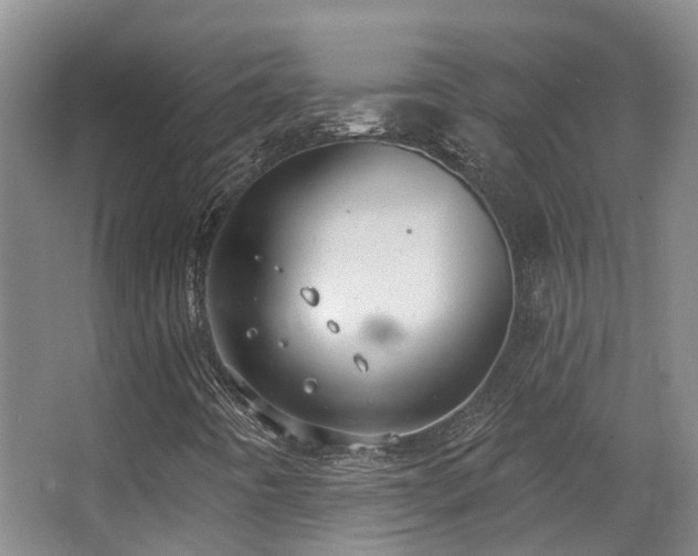 X0000063491442200601201257