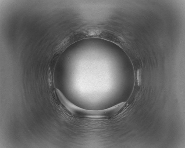 X0000063491443200601201257