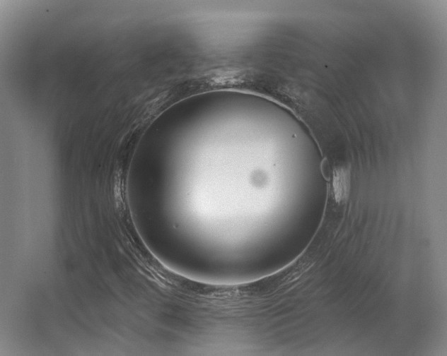X0000063491444200601201257