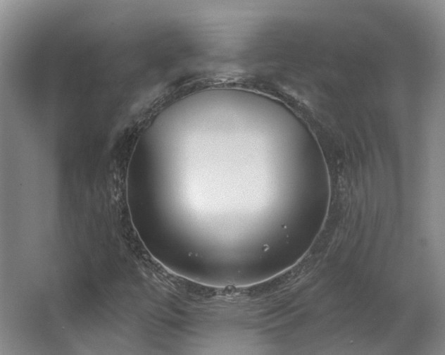 X0000063491447200601201257