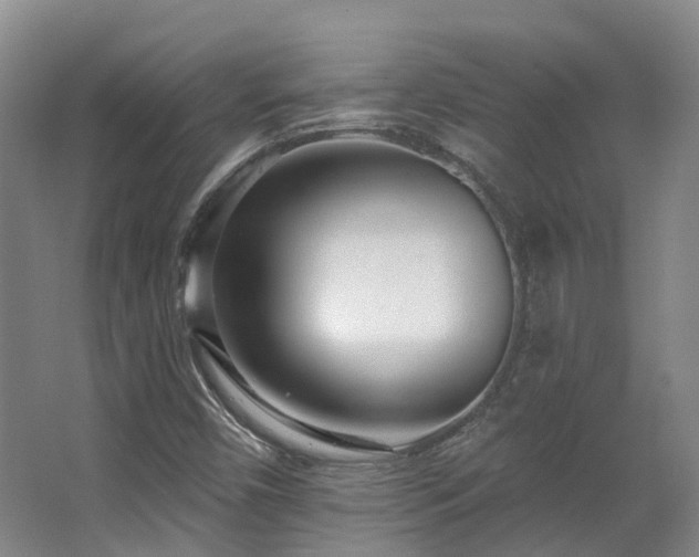 X0000063491450200601201257