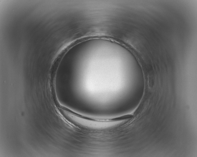 X0000063491452200601201257
