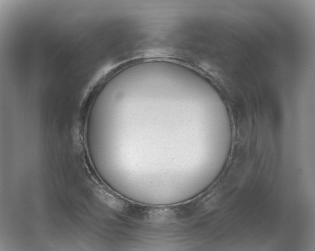 X0000063491454200601201257