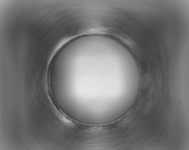 X0000063491470200601201257