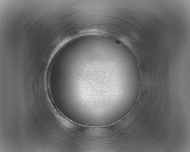 X0000063491474200601201256
