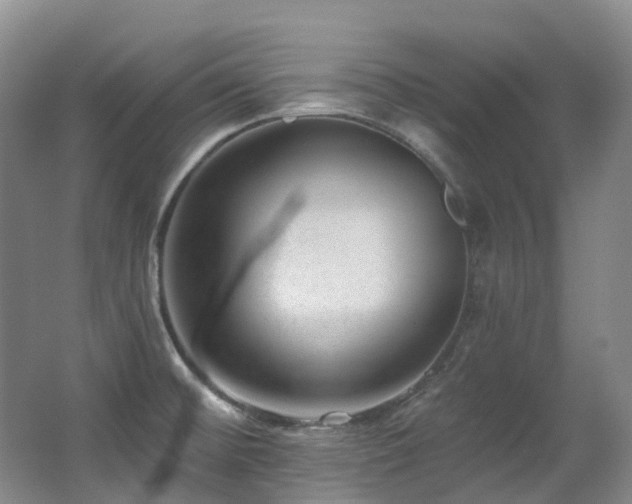 X0000063491476200601201256