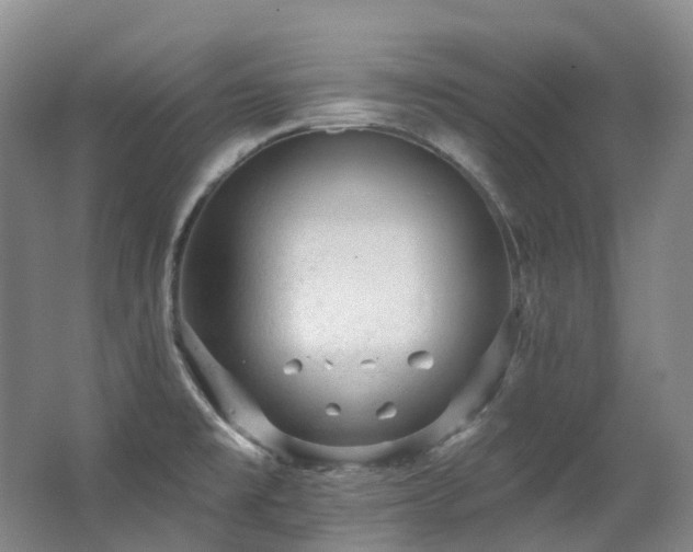X0000063491477200601201256
