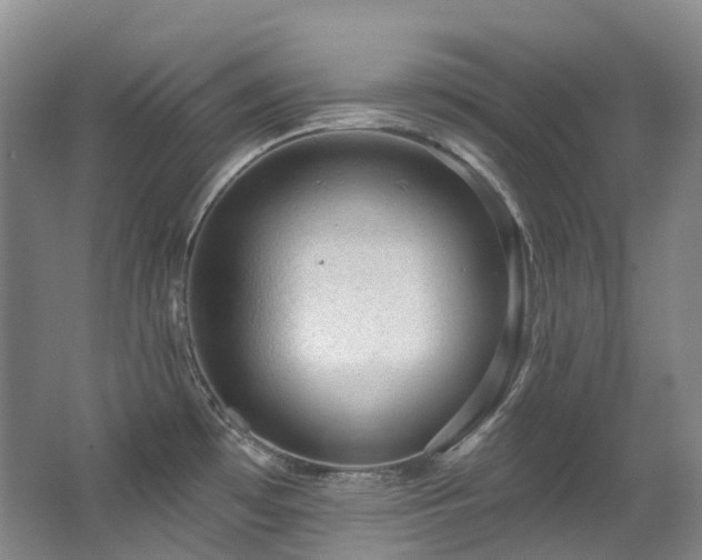 X0000063491481200601201256