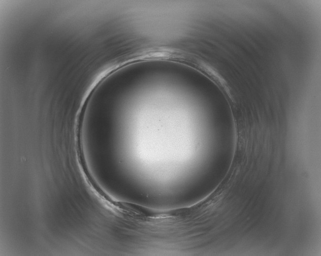 X0000063491483200601201256