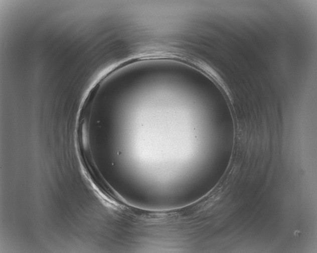 X0000063491485200601201256