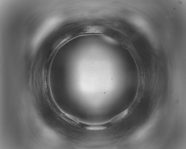 X0000063491487200601201256