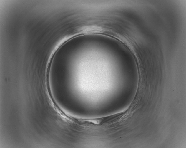 X0000063491488200601201256