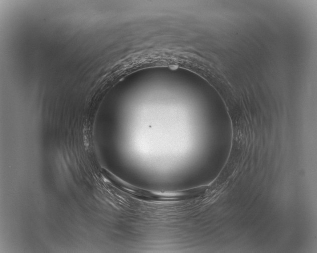 X0000063491490200601201255