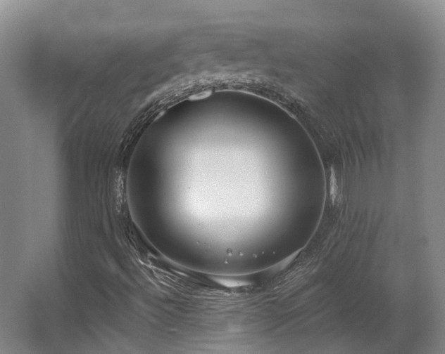 X0000063491492200601201255