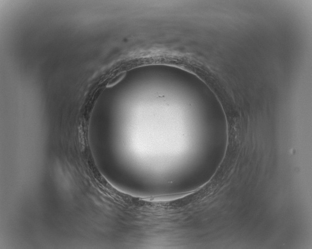 X0000063491493200601201255