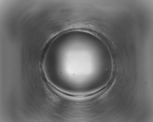 X0000063491497200601201256
