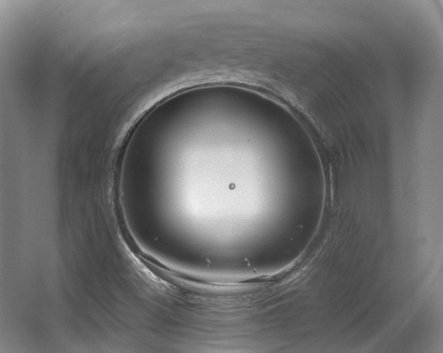 X0000063491500200601201256