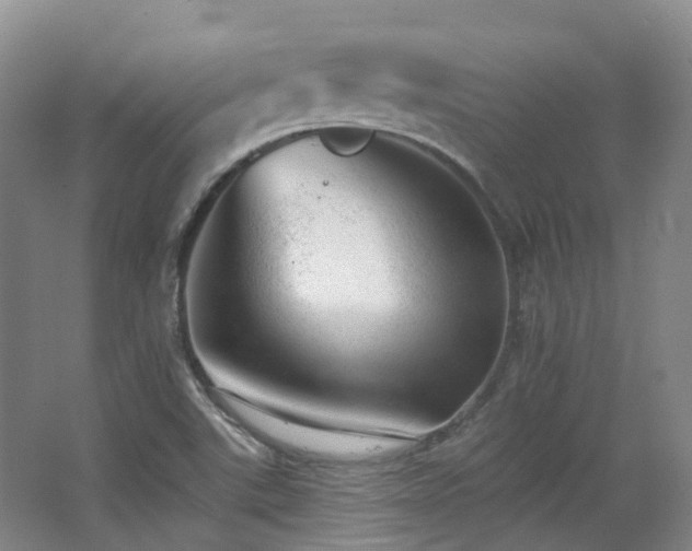 X0000063491507200601201256