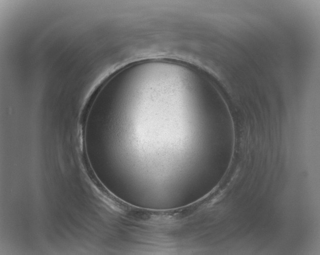 X0000063491509200601201256
