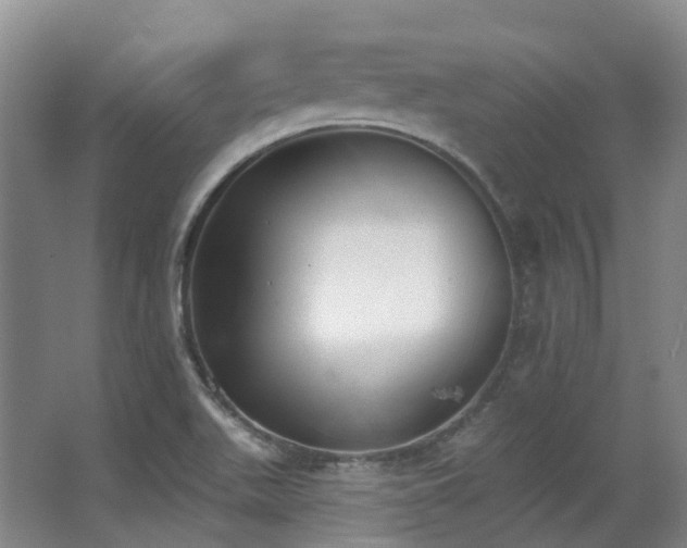X0000063491511200601201256