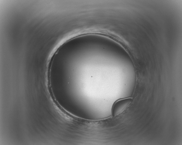 X0000063491512200601201256