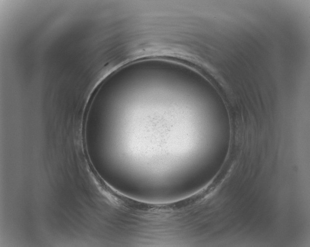 X0000063491513200601201256