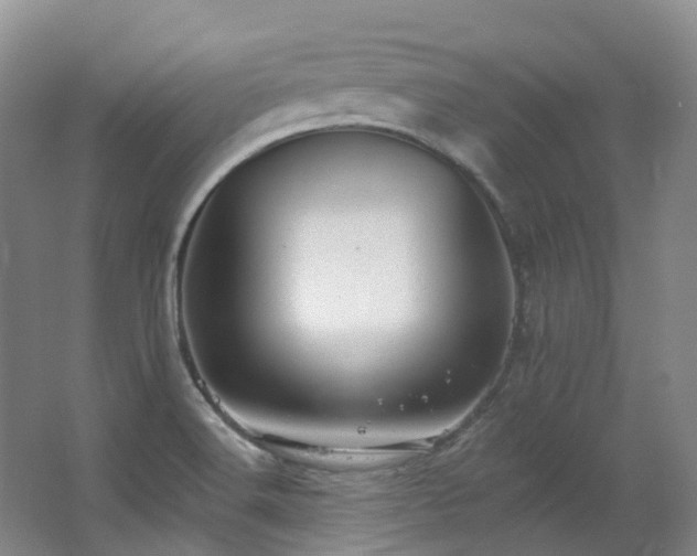 X0000063491516200601201256