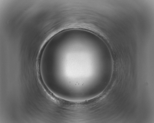 X0000063491517200601201256