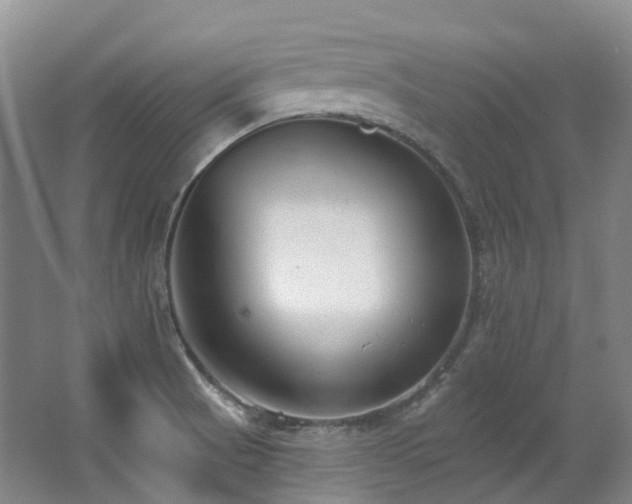 X0000063491521200601201256