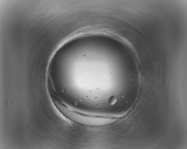 X0000063491528200601201256