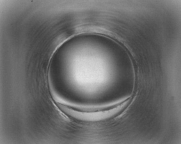 X0000063491529200601201256