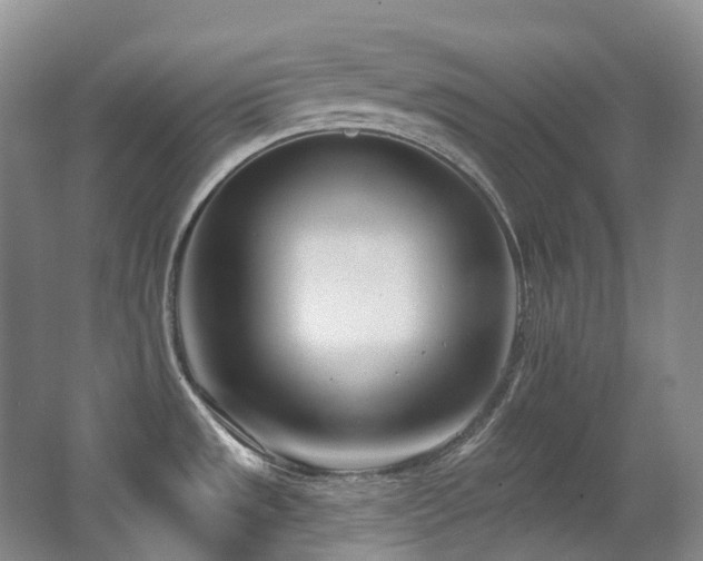 X0000063491533200601201256