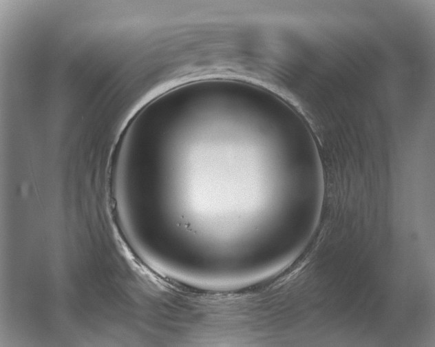 X0000063491534200601201256