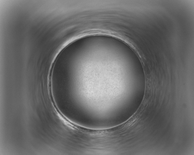 X0000063491535200601201256
