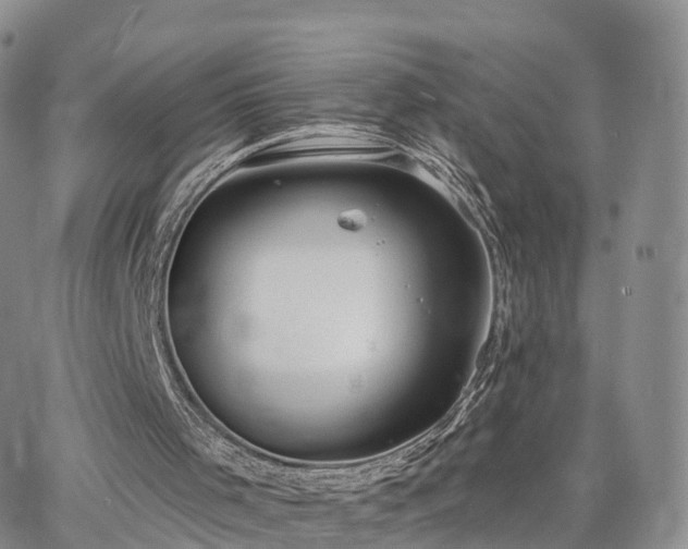 X0000063490001200601231424