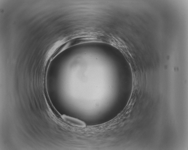 X0000063490003200601231424