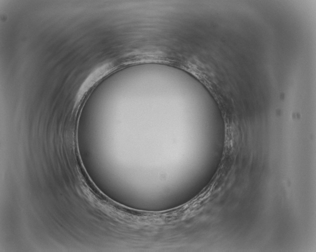 X0000063490004200601231424