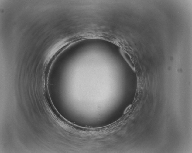 X0000063490005200601231424