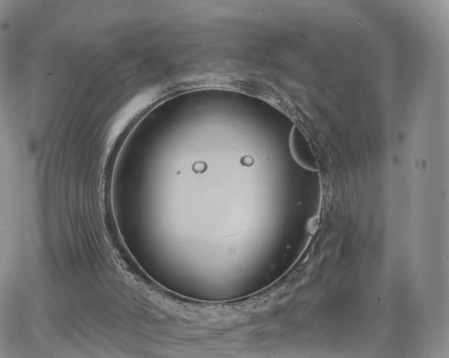 X0000063490006200601231423