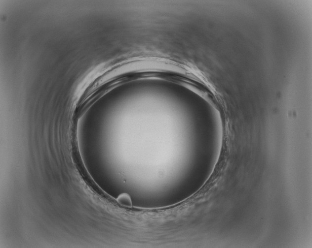 X0000063490007200601231423