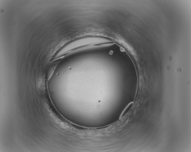 X0000063490009200601231423