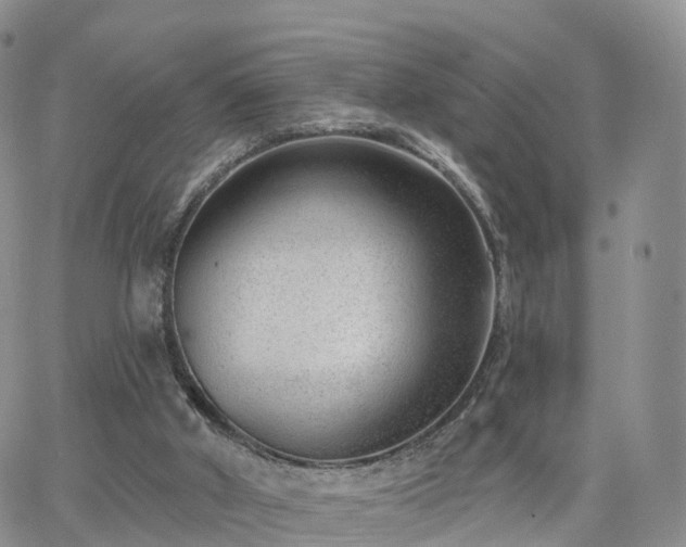 X0000063490010200601231423